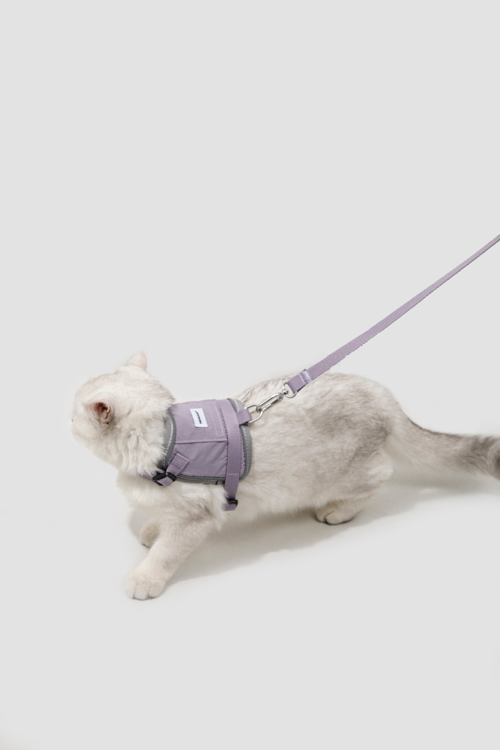 Valley Small Vest Cat Harness & Leash Set