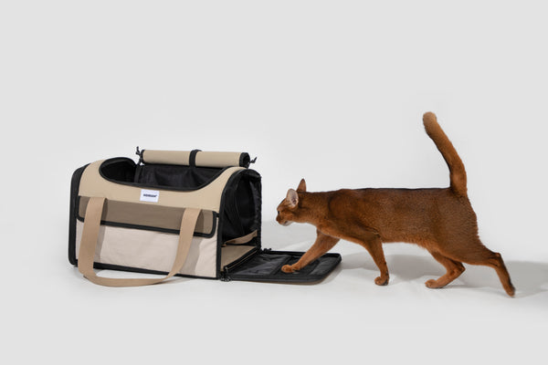 Product feature