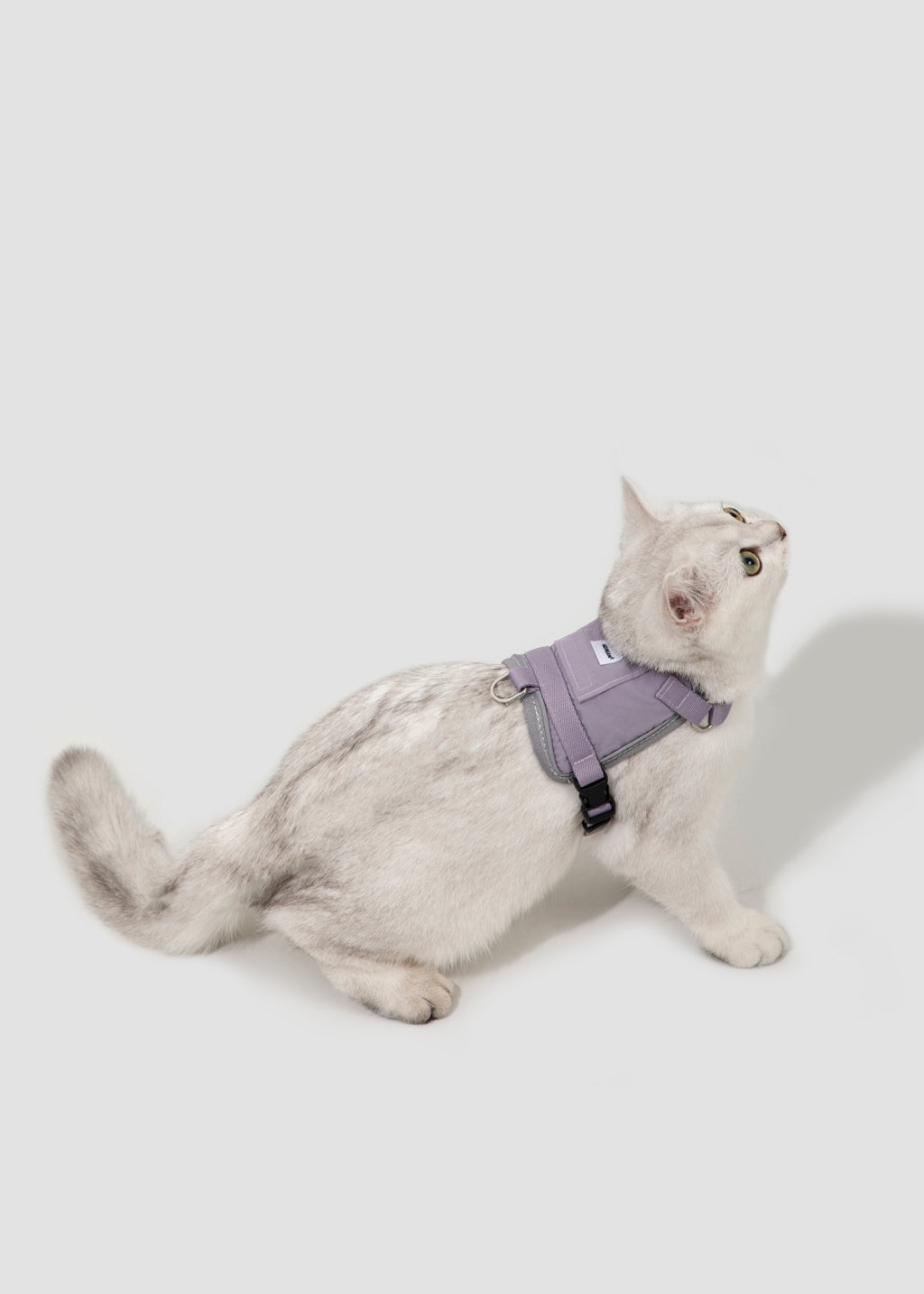 Valley Small Vest Cat Harness & Leash Set