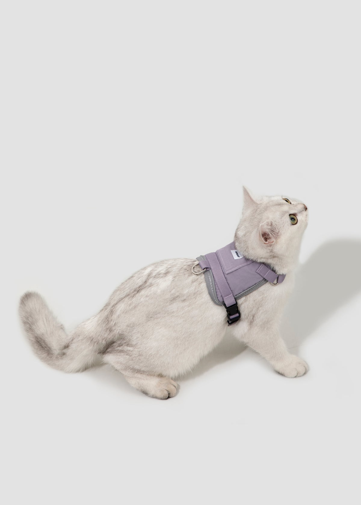 Valley Small Vest Cat Harness & Leash Set