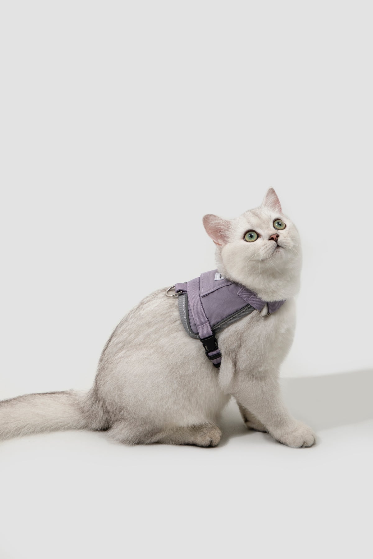 Valley Small Vest Cat Harness & Leash Set