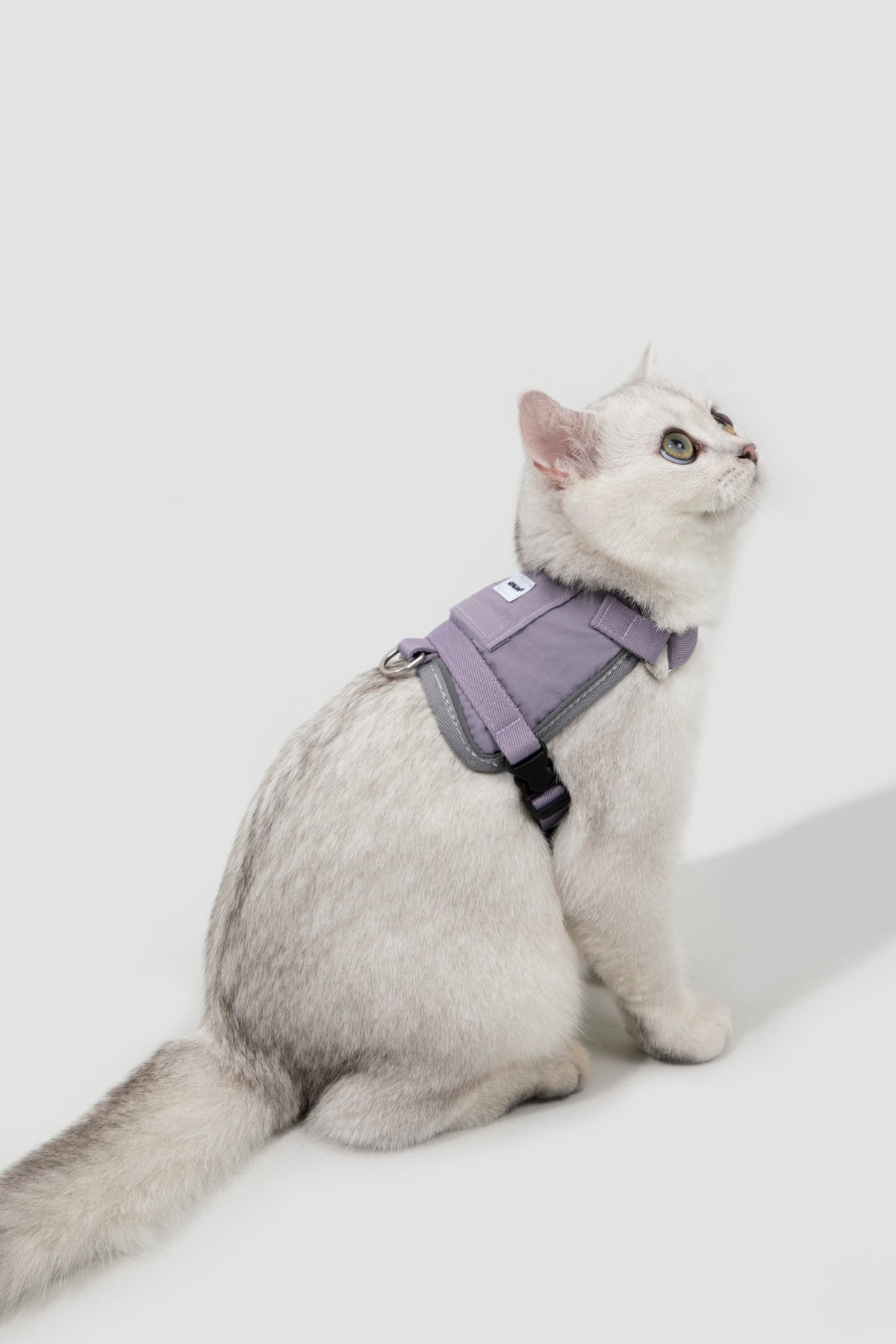 Valley Small Vest Cat Harness & Leash Set