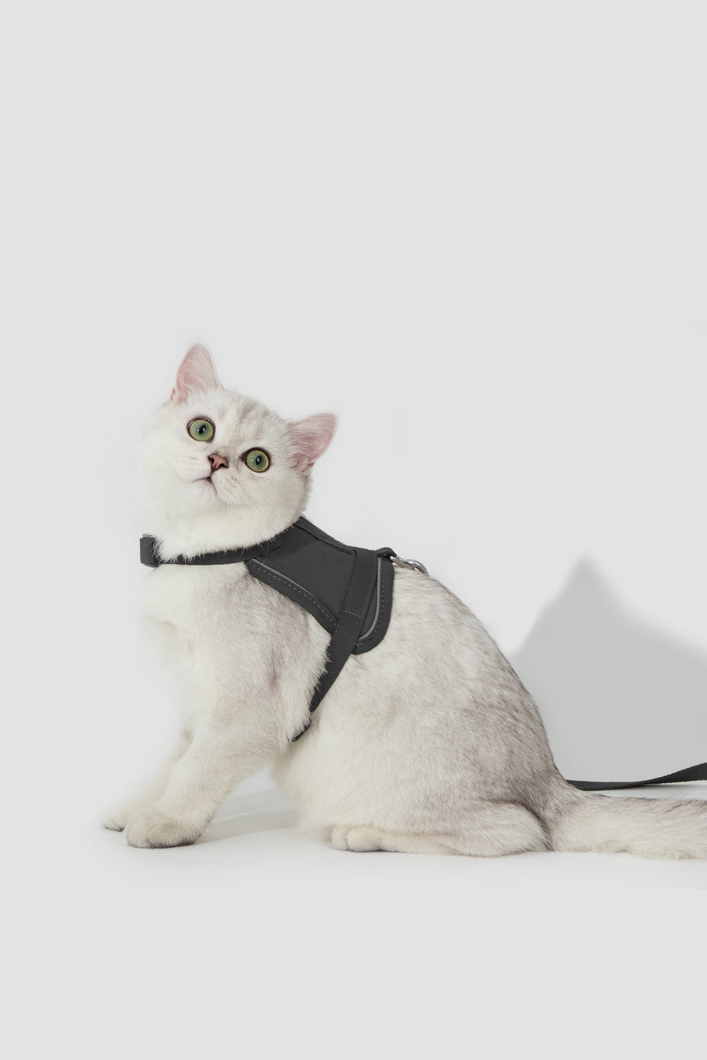 Valley Small Vest Cat Harness & Leash Set