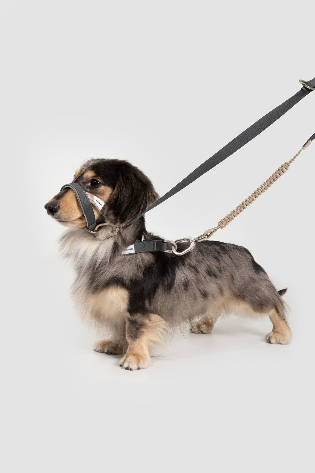 Valley Series – Multi-Functional Training Dog Muzzle