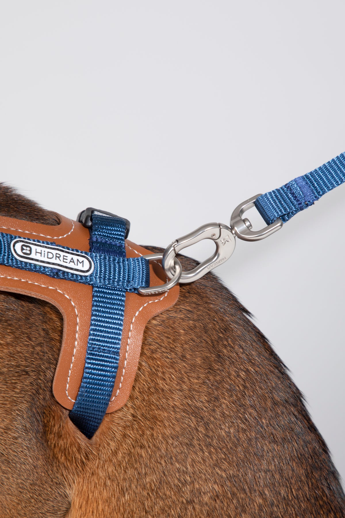Artisan Leather Cat Harness and Leash Set
