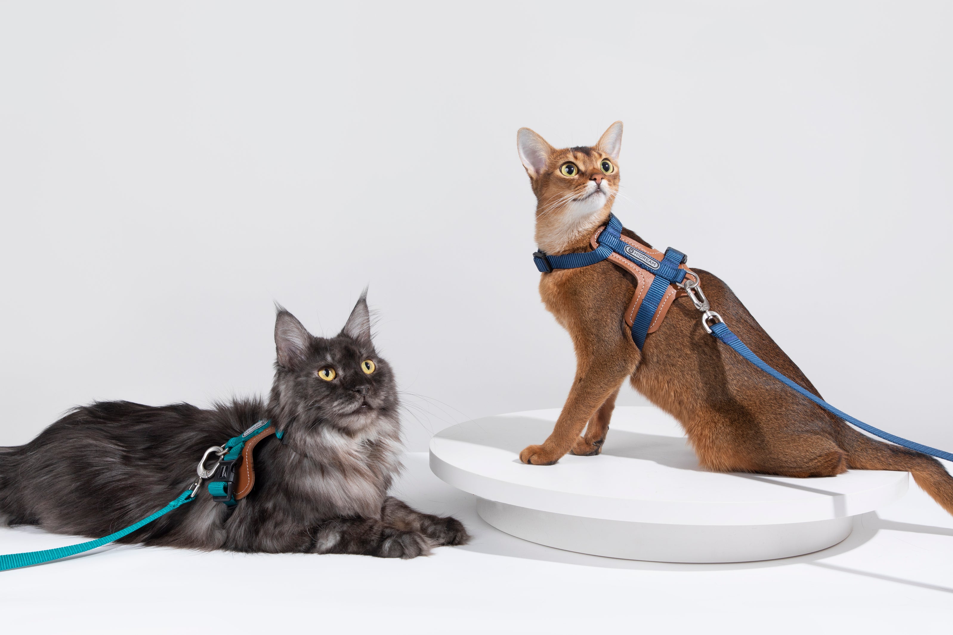 Artisan Leather Cat Harness and Leash Set