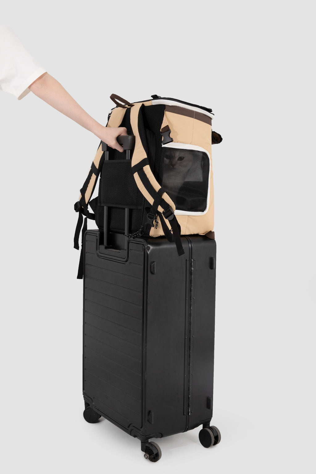 Not Just Weekend Pet Tent Backpack