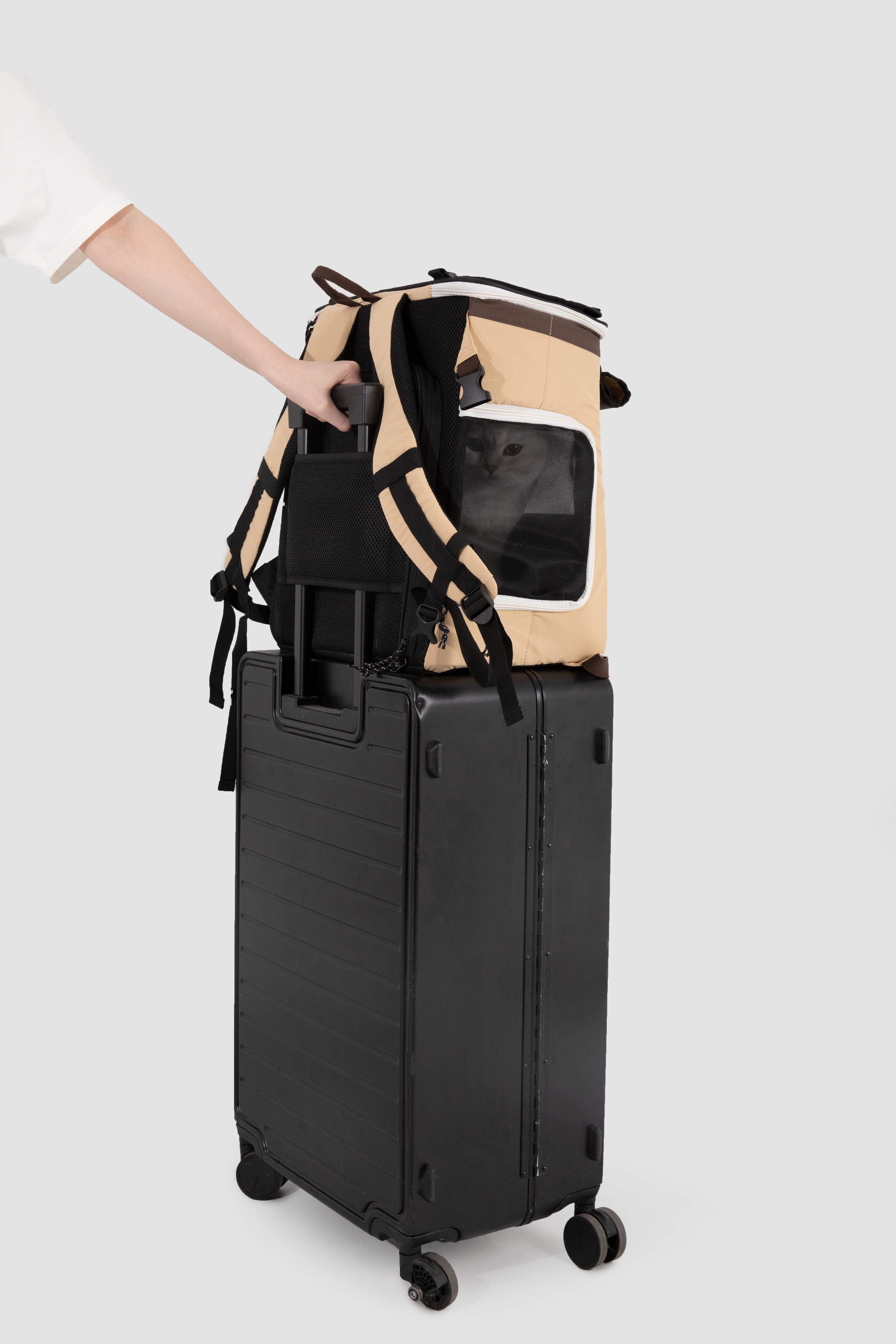 Not Just Weekend Pet Tent Backpack