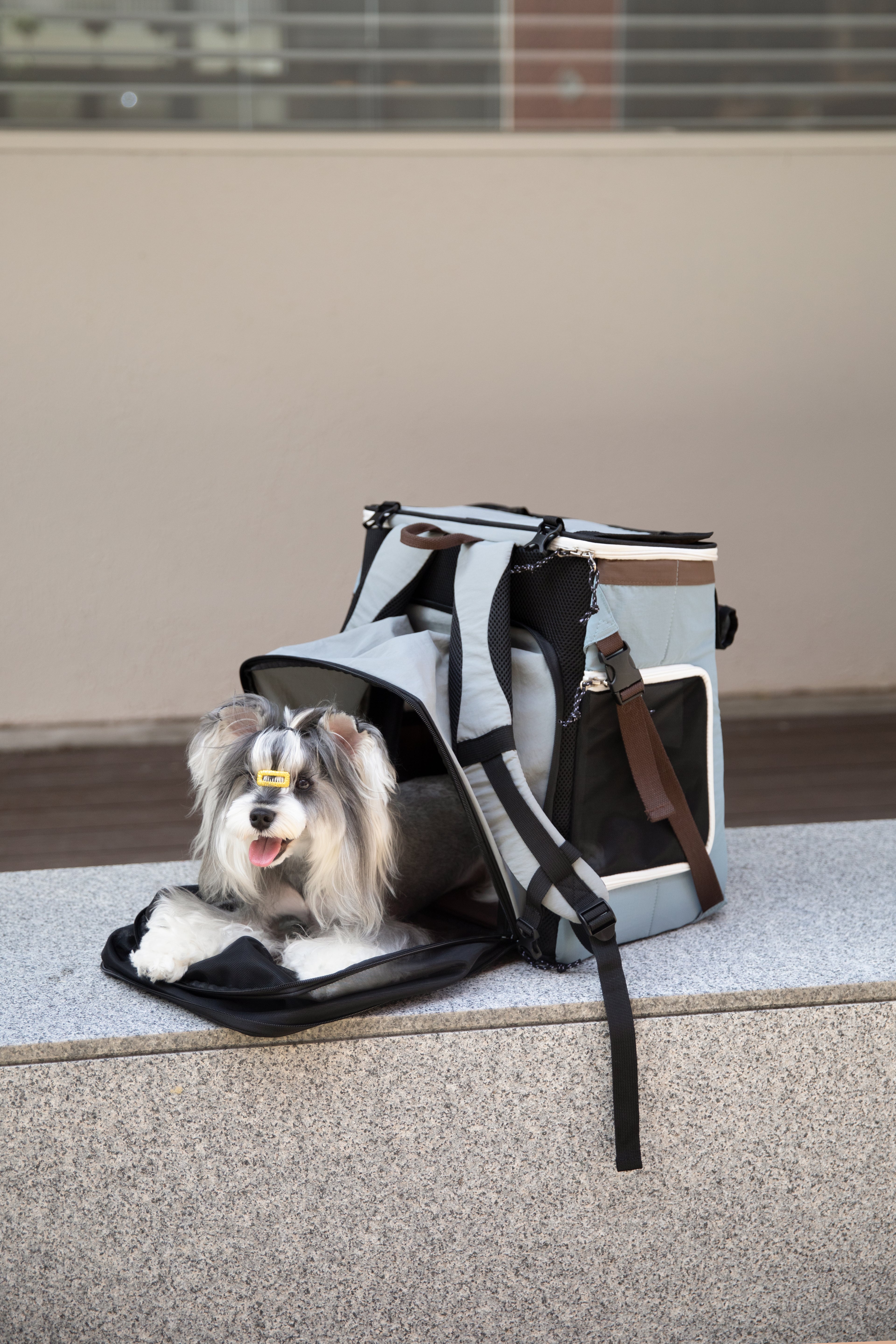 Not Just Weekend Pet Tent Backpack