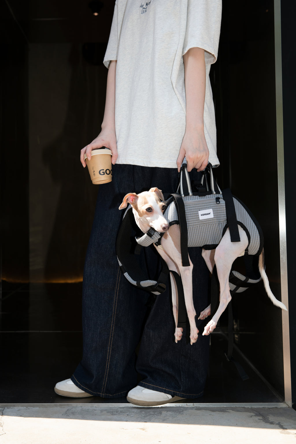 Pet Spine Protection Horizontal Backpack (Ice Silk)