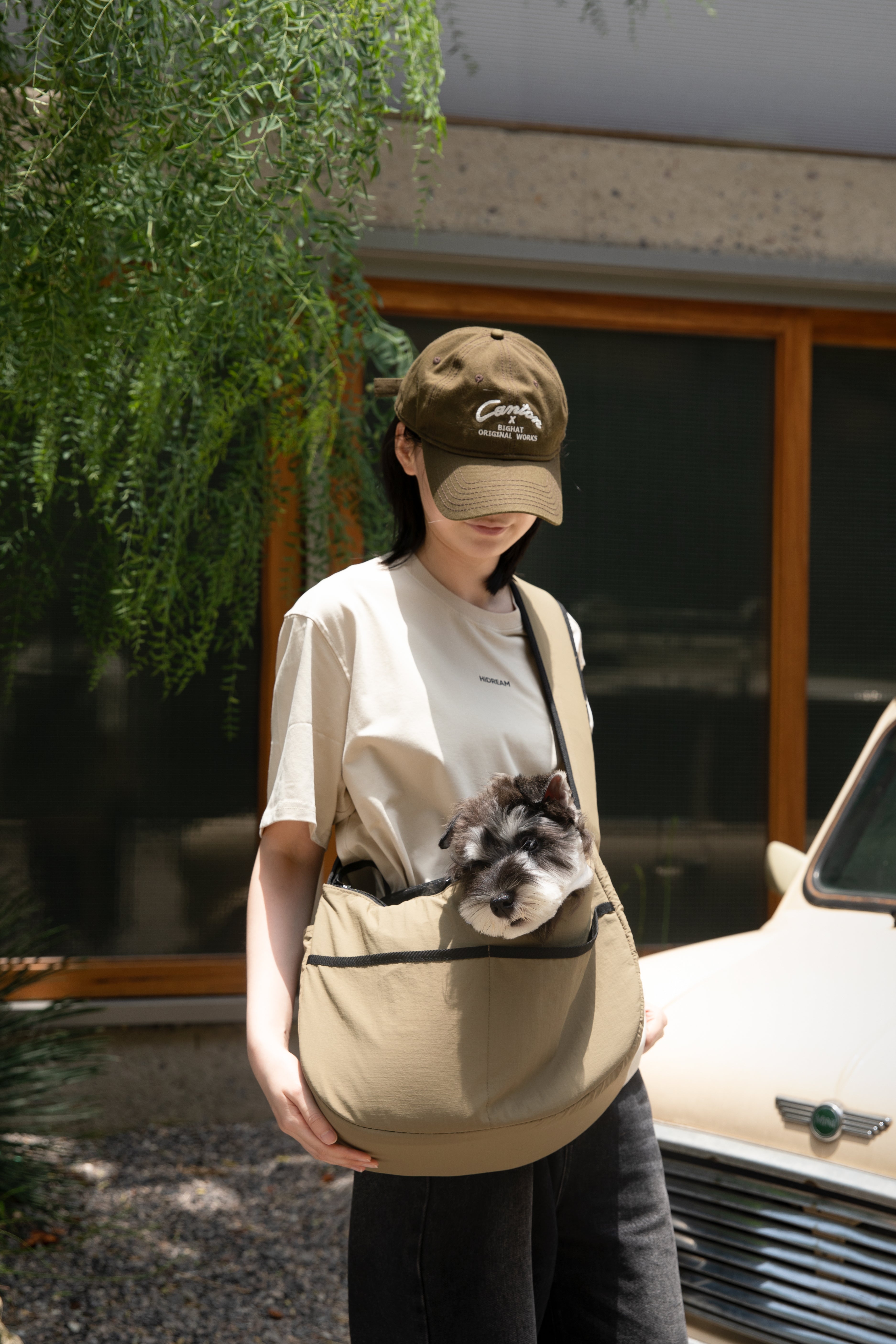 Mountain Style Pet Tote Crossbody Bag