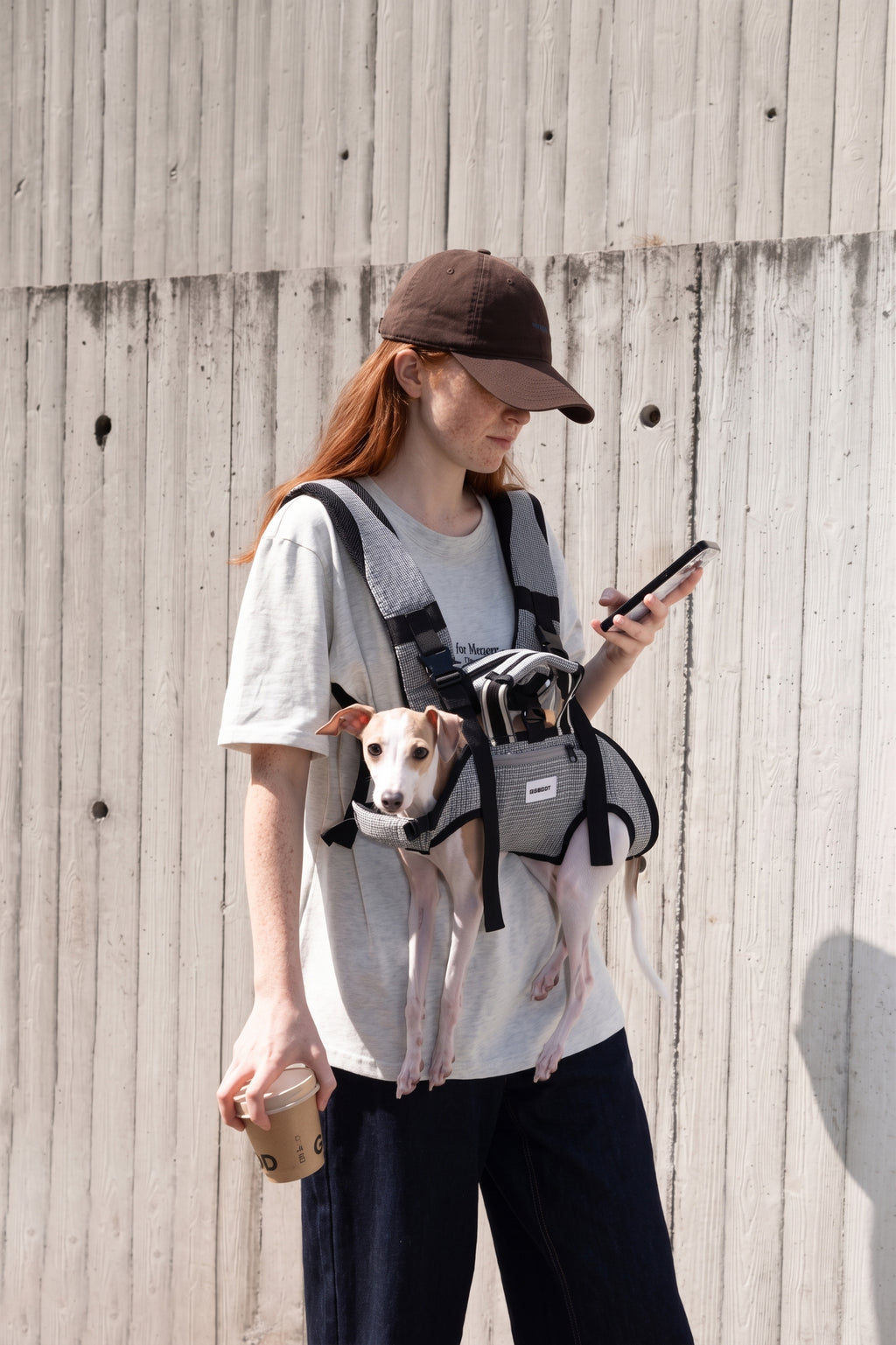 Pet Spine Protection Horizontal Backpack (Ice Silk)