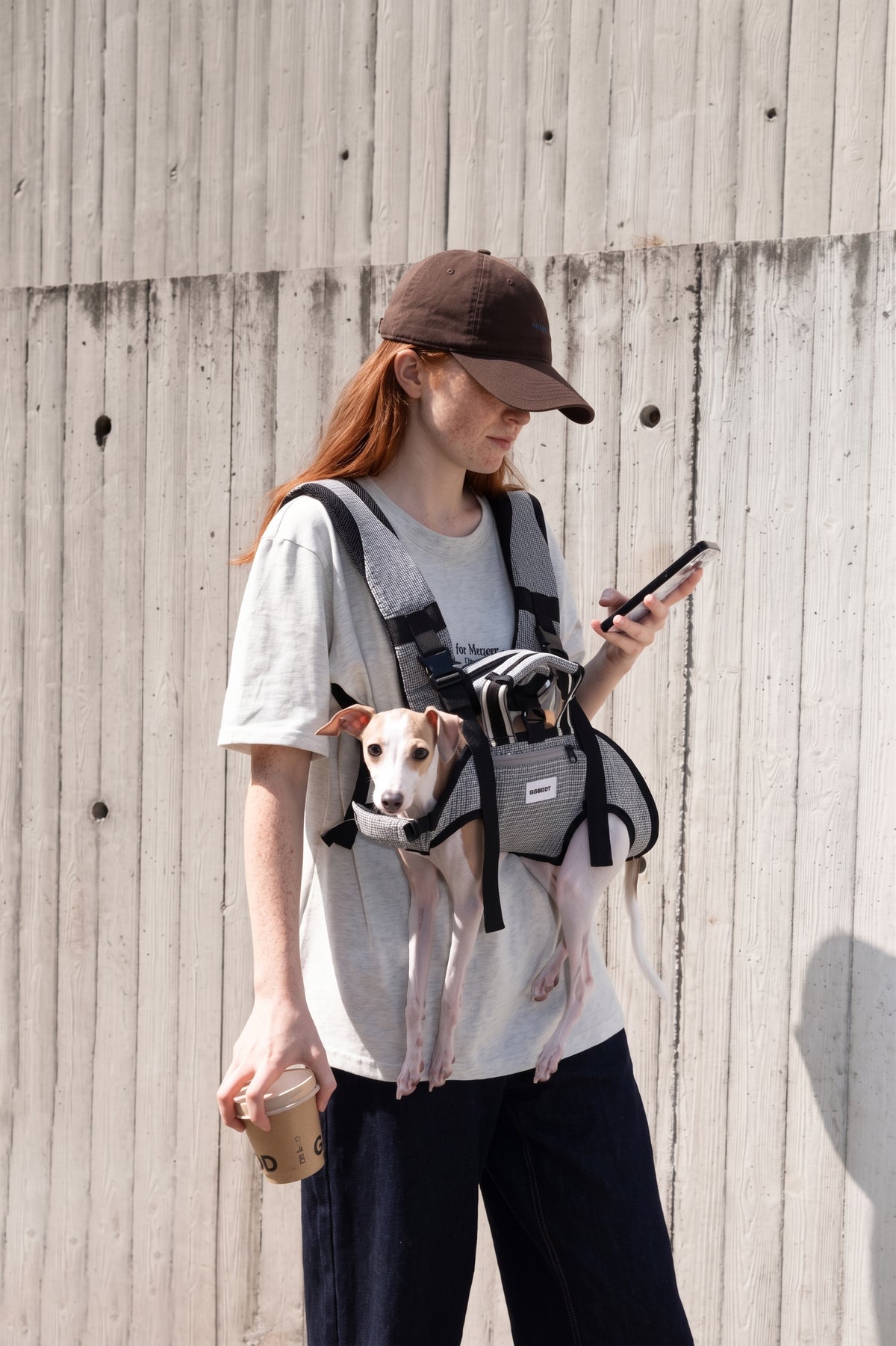 Pet Spine Protection Horizontal Backpack (Ice Silk)