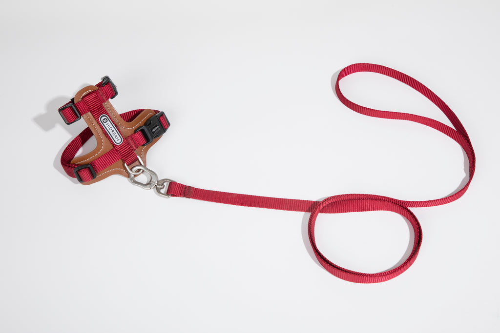 Artisan Leather Cat Harness and Leash Set