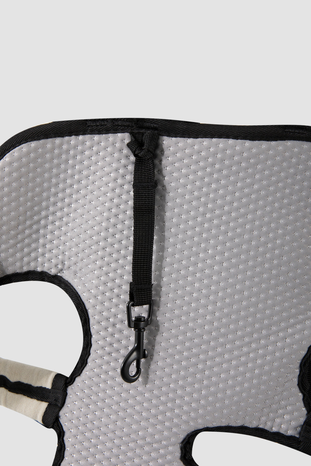 Pet Spine Protection Horizontal Backpack (Ice Silk)