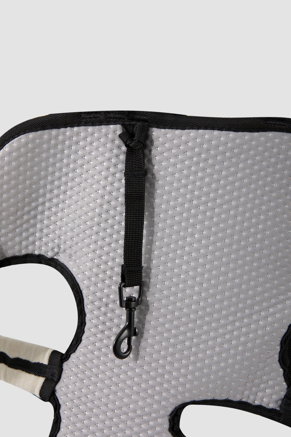 Pet Spine Protection Horizontal Backpack (Ice Silk)